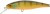 Wobler Illex Squad Minnow SP 9,5cm 14gr Agresivna babuška