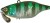 Wobler Illex TN Trigon 6cm 18,5gr HL Sunfish