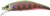 Wobler Illex Tricoroll SHW 5,3cm 4,8gr Trout Nightmare
