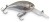 Wobler Iron Claw Apace C34 DRF, uzorak NWF