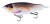 Wobler Iron Claw Phanto-G 16cm 75gr Geezer Roach Wobler Iron Claw Phanto-G 16cm 75gr Geezer Roach
