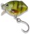 Wobler Iron Trout Crank 3cm 2,6gr Saenger Wobler Iron Trout Crank 3cm 2,6gr Saenger