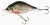 Wobler Jaxon Holo Select Carpan Lures 7cm F KZ Wobler Jaxon Holo Select Carpan Lures 7cm F KZ