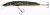Wobler Jaxon HS Pike Floating 16cm 30gr PL2