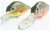 Wobler Mistrall Crucian Diver 7cm 13gr tonući uzorak 112