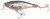 Wobler Mistrall Shad Z Floater 6cm 8gr uzorak 074