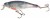 Wobler Mistrall Shad Z Floater 6cm 8gr uzorak 083