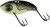Wobler Rage Big Eye Blade 4cm 10gr UV Black & Gold