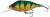 Wobler Rage Hitcher Jerk and Twitch 10cm 35gr Original Perch