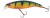 Wobler Rage Slick Stick SR 4cm 2gr UV Original Perch