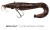 Wobler Rage Ultra Natural Catfish Replicant 20cm