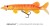 Wobler Rage Ultra Realistic Replicant Roach Golden Pike