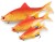 Wobler Rage Ultra Realistic Replicant Roach Golden Roach
