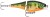 Wobler Rapala BX Jointed Shad 06 6cm 7gr P