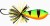 Wobler Rapala BX Skitter Frog 4,5cm 7gr FSN Wobler Rapala BX Skitter Frog 4,5cm 7gr FSN