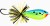 Wobler Rapala BX Skitter Frog 4,5cm 7gr PRTU Wobler Rapala BX Skitter Frog 4,5cm 7gr PRTU