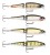 Wobler Rapala BX Swimmer 12cm 22gr BLP