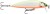 Wobler Rapala Count Down Elite 75 7,5cm 10gr GDCO