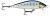 Wobler Rapala Count Down Elite 75 7,5cm 10gr GDMI