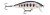 Wobler Rapala Count Down Elite 75 7,5cm 10gr GDYM