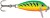 Wobler Rapala Count Down Sinking 2,5cm 2,7gr FT