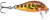 Wobler Rapala Count Down Sinking 2,5cm 2,7gr HMMD