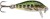 Wobler Rapala Count Down Sinking 2,5cm 2,7gr OGMD