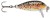 Wobler Rapala Count Down Sinking 2,5cm 2,7gr RT