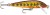 Wobler Rapala Count Down Sinking 3cm 4gr HMMD