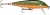 Wobler Rapala Count Down Sinking 7cm 8gr BTR