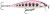Wobler Rapala Countdown Elite 9,5cm 14g GDPY