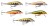 Wobler Rapala CountDown Sinking 5cm 5gr
