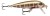 Wobler Rapala CountDown Sinking 5cm 5gr