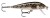 Wobler Rapala CountDown Sinking 5cm 5gr