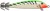 Wobler Rapala Countdown Squid 9cm 12gr