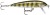 Wobler Rapala Down Sinking 7cm 8gr PEL