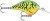 Wobler Rapala DT (Dives-To) Series 5cm