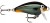 Wobler Rapala Fat Rap Mini Sinking 3cm 4gr CBN Wobler Rapala Fat Rap Mini Sinking 3cm 4gr CBN