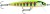 Wobler Rapala Floater Elite 8,5cm 6,5gr