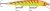 Wobler Rapala Husky Jerk Suspending 12cm 13gr HT