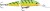 Wobler Rapala Jointed Deep Husky Jerk 8cm/5gr FT