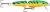 Wobler Rapala Jointed Floating 7cm 4gr FT