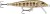 Wobler Rapala Original Floater 5cm 3gr