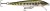 Wobler Rapala Original Floater 5cm 3gr