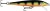 Wobler Rapala Original Floater 7cm 4g P