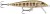 Wobler Rapala Original Floater 7cm 4gr