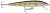 Wobler Rapala Original Floater 7cm 4gr