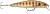 Wobler Rapala Precision Xtreme Air Boss 10cm 15,5g GGIU