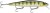 Wobler Rapala Precision Xtreme Mavrik 11cm 14gr PEL