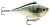 Wobler Rapala Rippin Rap 5cm 9gr CBG Wobler Rapala Rippin Rap 5cm 9gr CBG